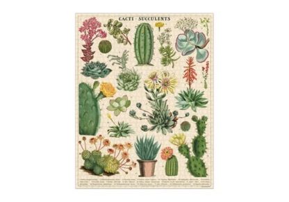 Cacti_and_succulents__palapeli