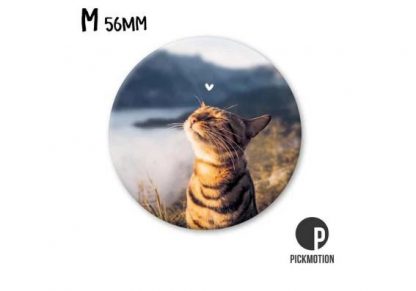 10015669_Magneetti_Pickmotion_M_Sunshine_cat_jpg