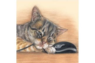 15_542_2_osainen_neliokortti_Kissa_ja_tietokoneen_hiiri_kuori_jpg