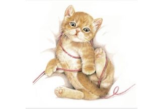 15_572_2_osainen_neliokortti_Kissanpentu_ja_lanka_jpg