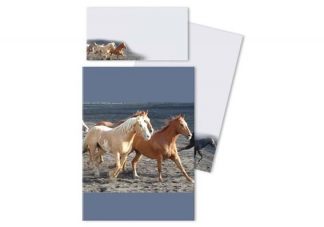 180394_Kirjepaperi_Hevoset_rannalla_jpg