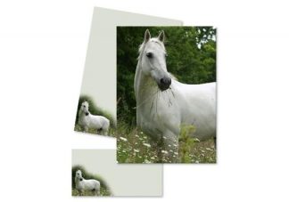 180395_Kirjepaperi_Valkoinen_hevonen_jpg
