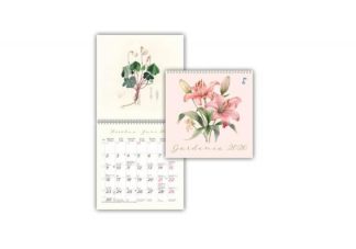 6420612283921_Gardenia_2026_jpg