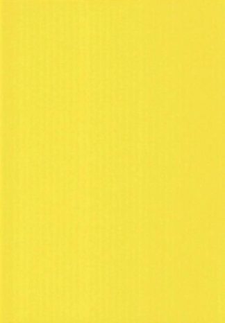 6602020000639_Askartelusavykartonki_kirkkaankeltainen_vari_13_50x70_jpg