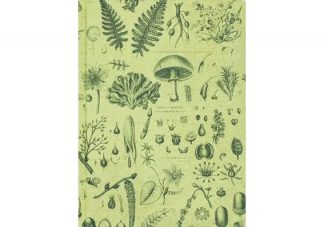 742042868506_Kasvit_sienet_kovakantinen_muistikirja_Viivoitettu_ruudutettu_jpg