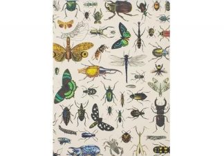 742042882014_Hyonteisteemainen_pehmeakantinen_muistikirja_sivuilla_pisteet_jpg