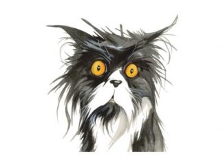 75_001_Magneetti_Mustavalkoinen_kissa_jpg