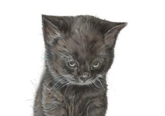 75_008_Jaakaappimagneetti_Musta_kissa_jpg