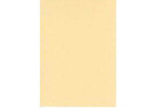 8322_1_osainen_korttipohja_hiekanruskea_A6_25_kpl_jpg