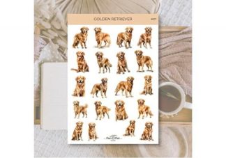 8977_Tarrat_Kultainennoutaja_jpg