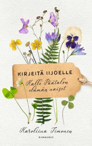 9789512413201_Kirjeita_Iijoelle_jpeg