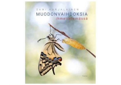 Muodonvaihdoksia_ihmettelemassa