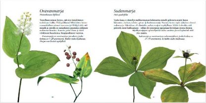 Kukat_avautuvat_ja_puhuvat_suunsa_puhtaaksi