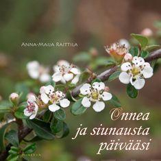 9789524921527_Onnea_ja_siunausta_paivaasi_jpg_size_max800_cl_888029_ch_d6a70c7998e0e3e0e2f9e04a3fad8ae9