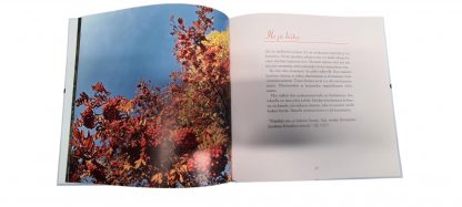 Iloa ja siunausta sinulle - Image 2