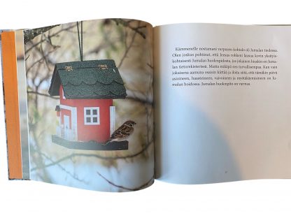 Toivotan sinulle siunausta - Image 3