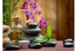 Alipson_Puzzle_F_50001_Zen_Zen_jpg