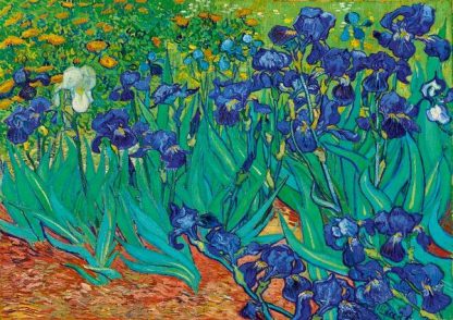 Art_by_Bluebird_F_60208_Vincent_Van_Gogh_Irises_1889_1_jpg