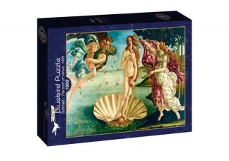 Art_by_Bluebird_F_60249_Botticelli_The_birth_of_Venus_1485_jpg