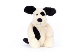 BAS3BCPN_Koiranpentu_jpg