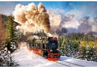 Castorland_103409_Steam_Train_jpg