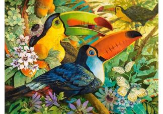 David_Galchutt__Interlude