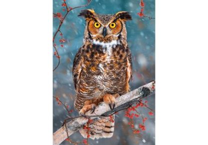 Great_Horned_Owl