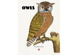 CB197_Owls_Coloring_Book_jpg