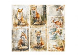 CK_RP9827v4_Kettu_askartelupaperi_jpg