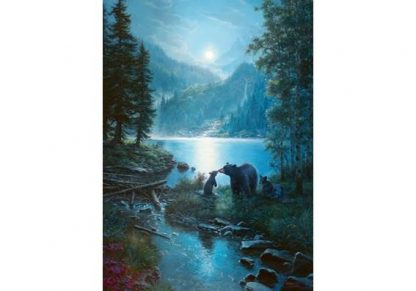 Bear_Night