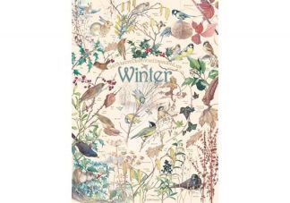 Country_Diary___Winter
