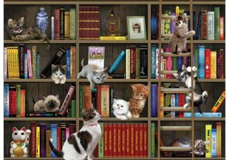 Kitty_Librarians