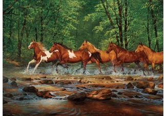 Spring_Creek_Run