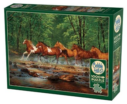 Spring_Creek_Run