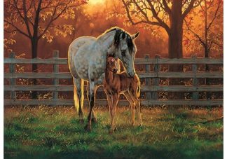 Cobble_Hill_45002_Quiet_Time_jpg