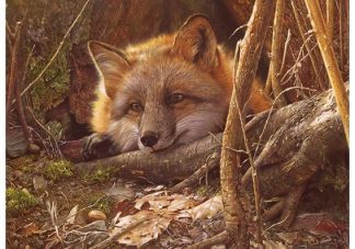 A_Touch_of_Warmth