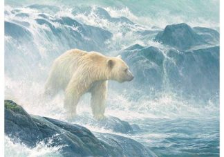 XXL_Pieces___Salmon_Watch___Spirit_Bear