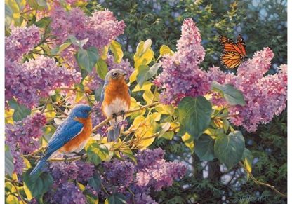 Spring_Interlude