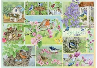 Garden_Birds_in_Spring___500_Piece