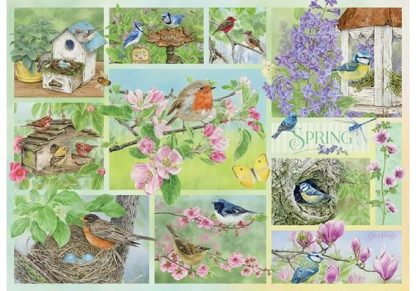 Garden_Birds_in_Spring___500_Piece