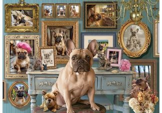 Frenchie