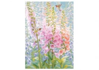 Cobble_Hill_45116_Summer_Rainbow_jpg