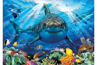 Educa_18478_Great_White_Shark_Valkohai_jpg