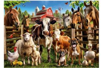 Educa_19905_Farmyard_Buddies_Pihapiirin_ystavat_jpg