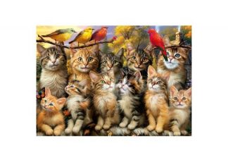 Educa_20241_Kittens_and_Birds_jpg