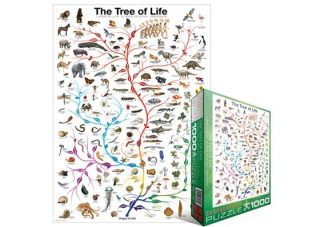 Evolution___the_tree_of_life
