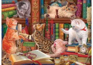 Eurographics_6000_5913_Kittens_in_the_Library_jpg