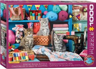 Eurographics_6000_6020_Kittens_in_the_Sewing_Room_jpeg