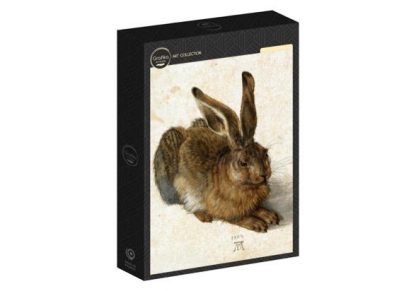 Albrecht_D_rer___The_Rabbit__1502