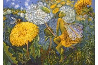Grafika_F_33435_Dandelion_Fairy_Voikukkakeiju_jpg